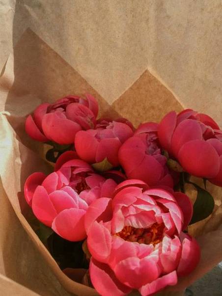 Courier delivering flowers