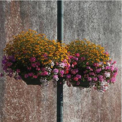 Florist arranging bouquet