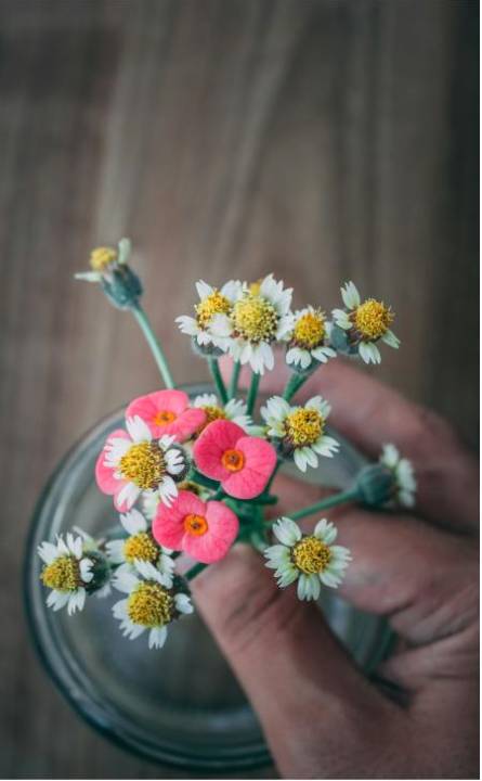 Bridesmaid posies