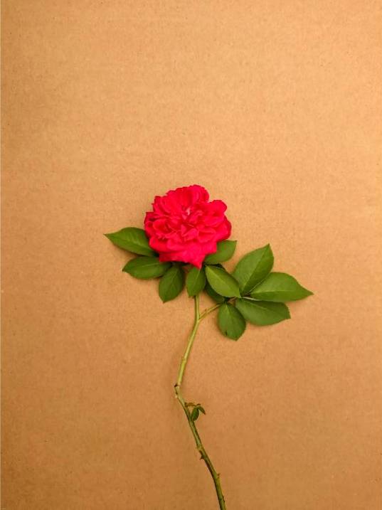 Table centerpiece