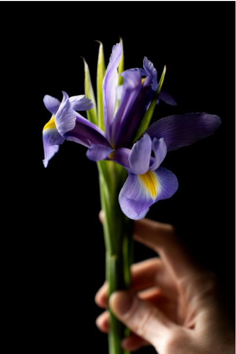 Small corporate bouquet