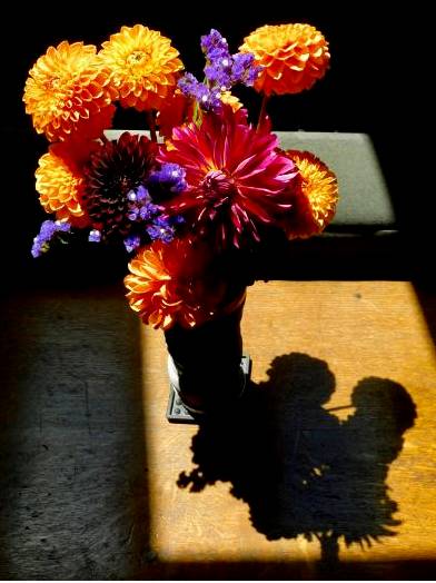 Banksia bouquet
