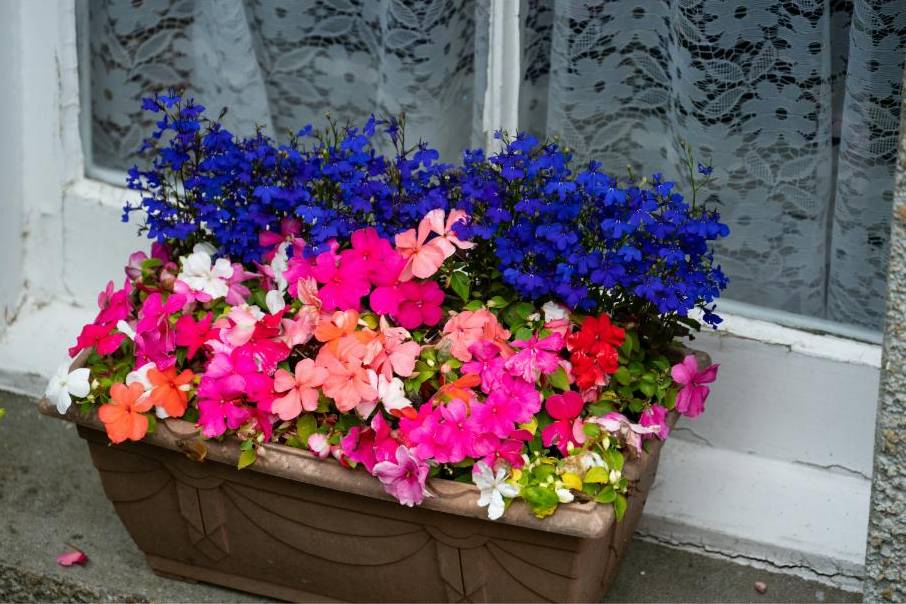 Coastal native posy